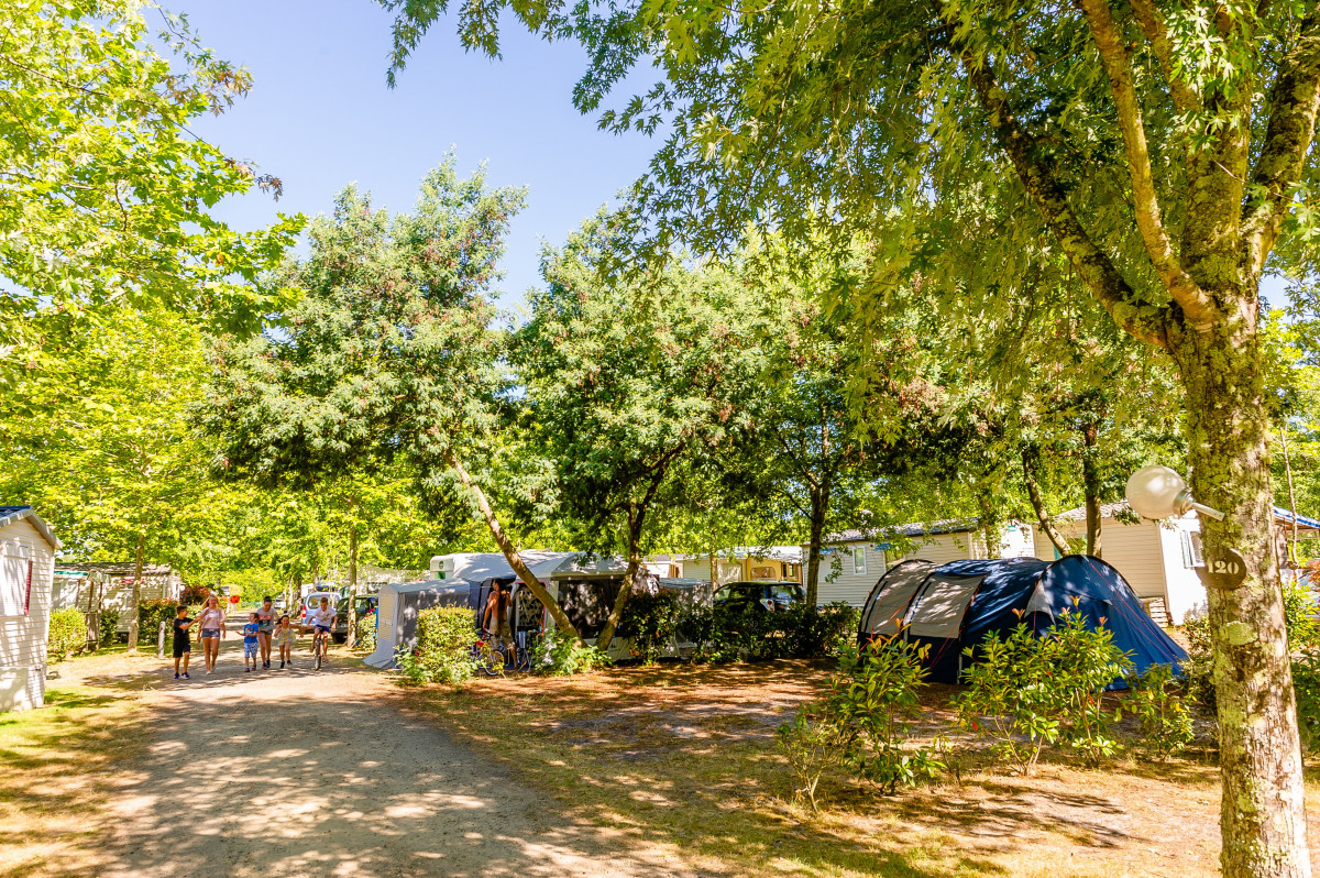 camping la foret lahitte