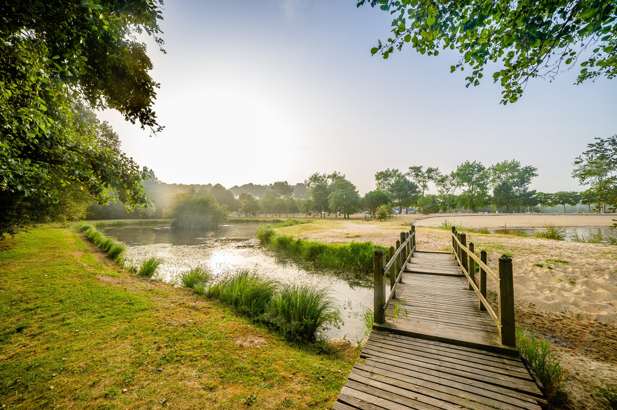 camping la foret lahitte