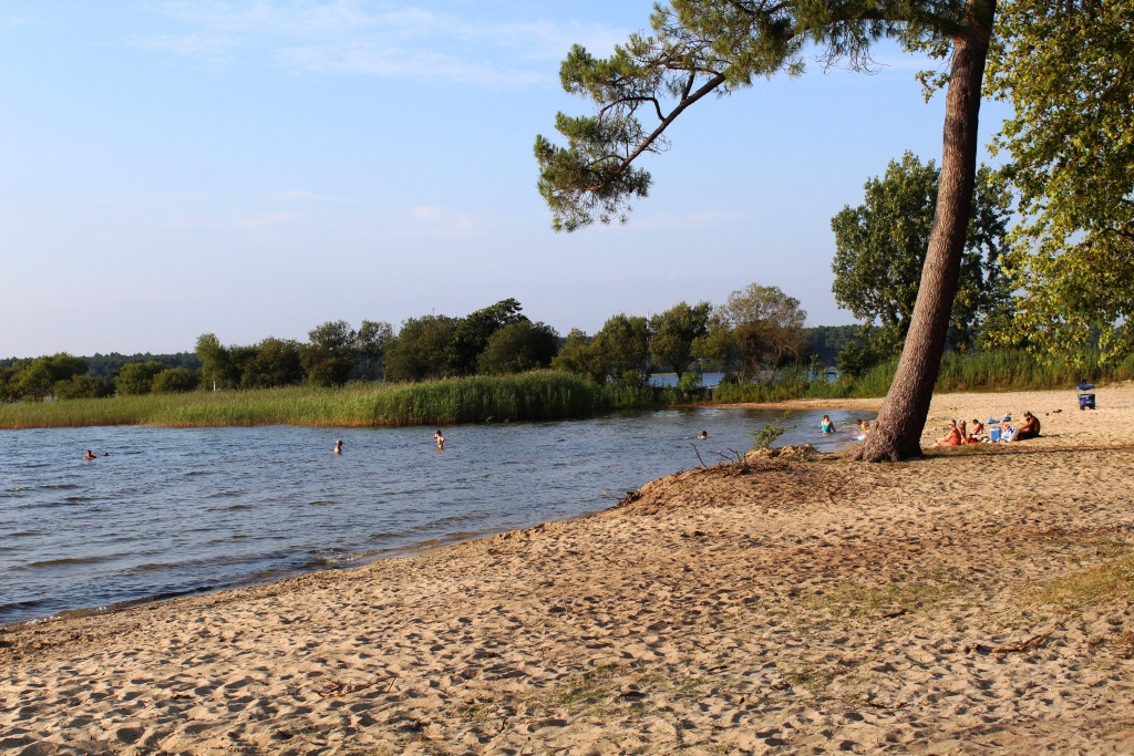 0IMG_5864bis