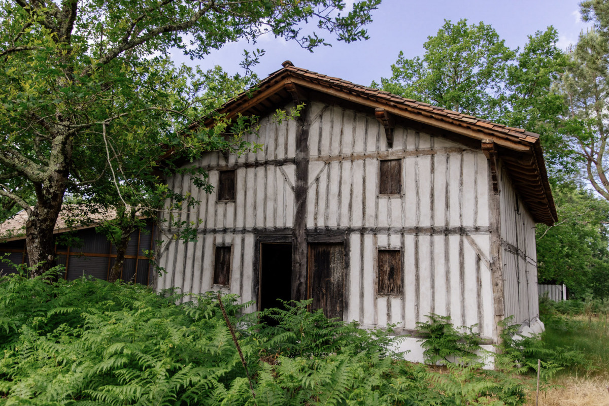 1-gemmage-bisca-grands-lacs-les-conteurs-59-9804266