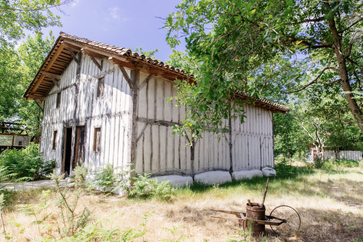 5-gemmage-bisca-grands-lacs-les-conteurs-38-9804270