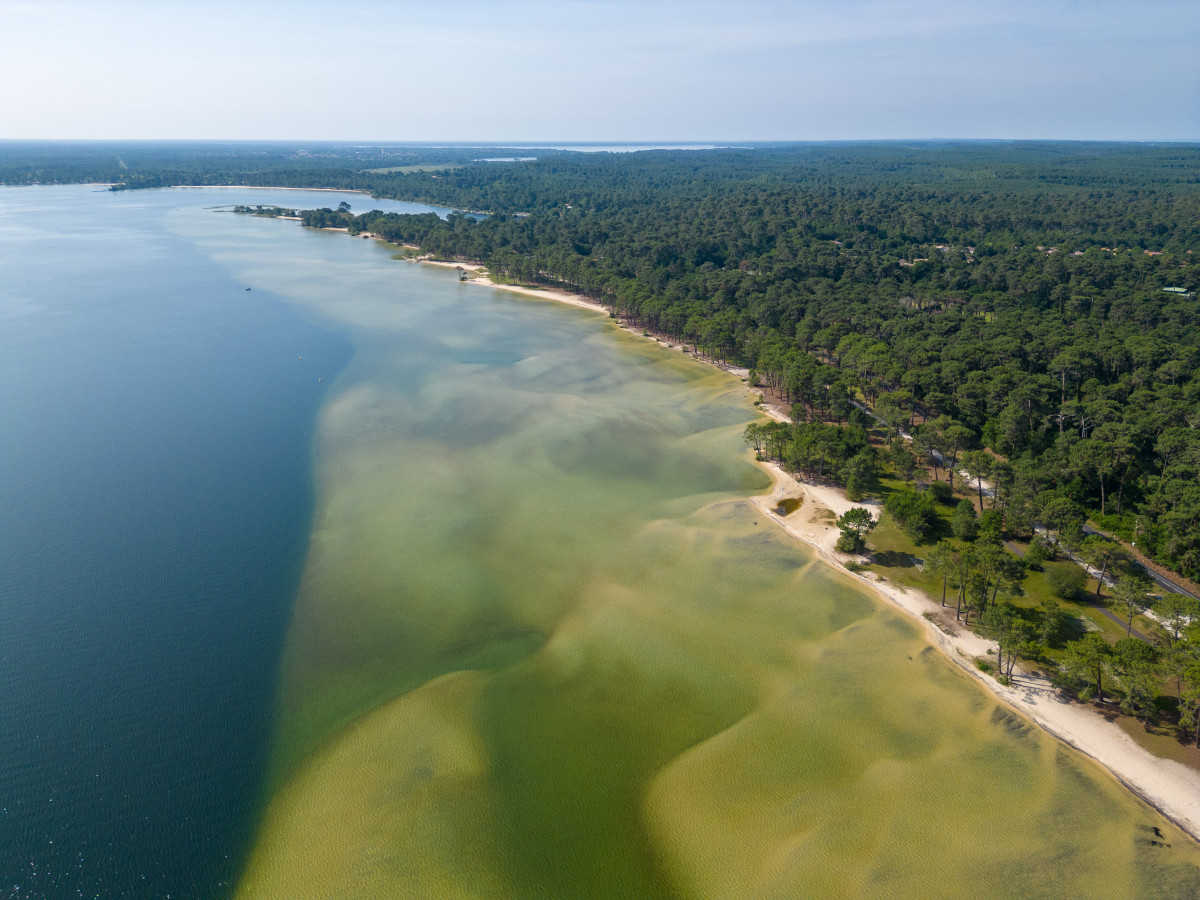 BISCA-LAC15 BISCA-LAC15