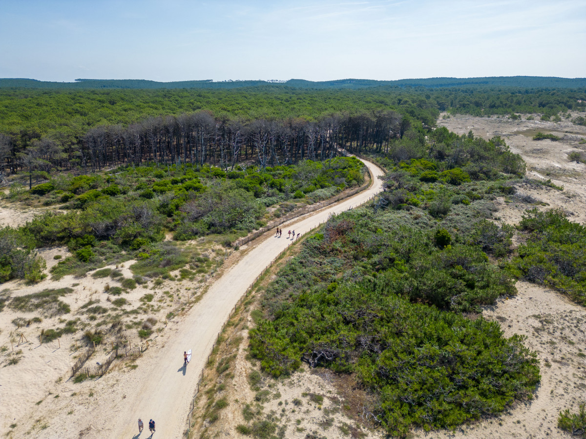 BISCAVIVIER103 BISCAVIVIER103