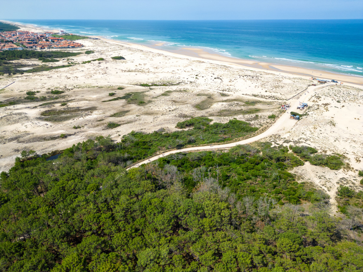 BISCAVIVIER106 BISCAVIVIER106