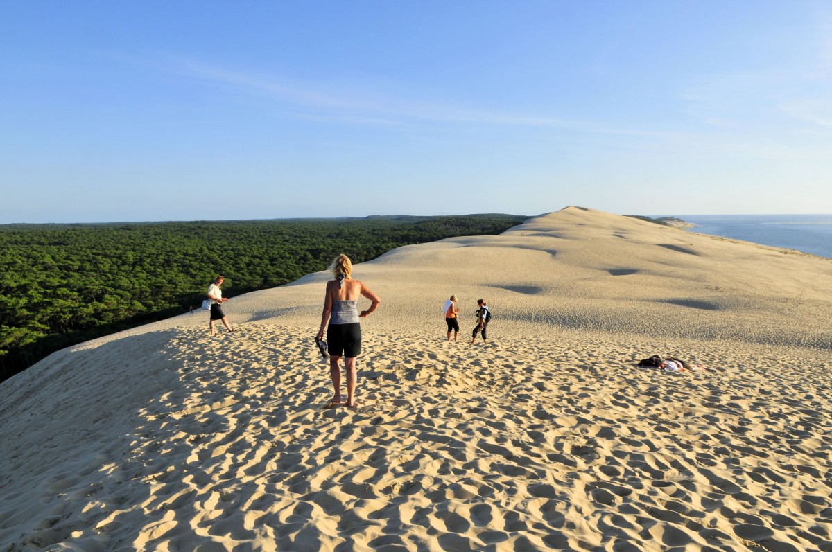 Dune Pilat