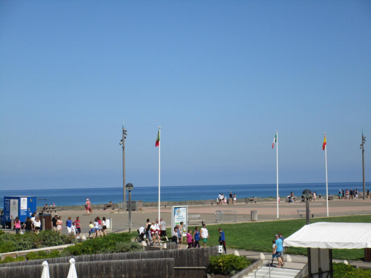 IMG_0463 IMG_0463