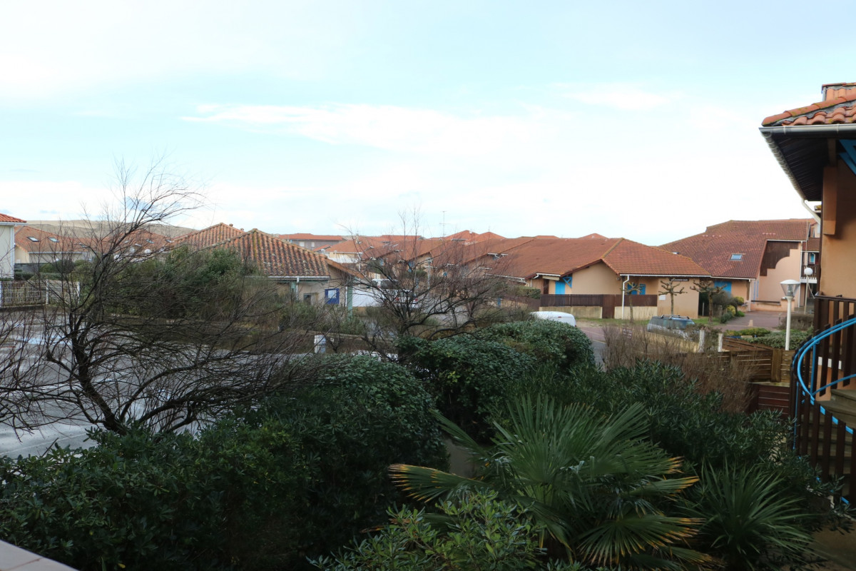 IMG_6835 IMG_6835