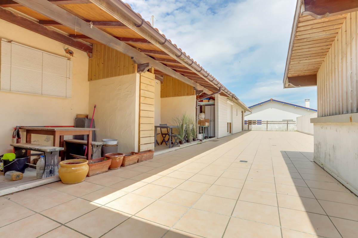 MEERO-photo-45219210-001