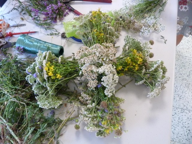 P1170353