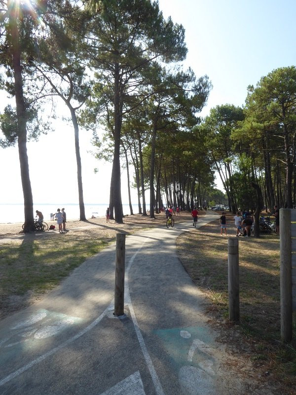 _clients_024060003_photos_10t_9858912