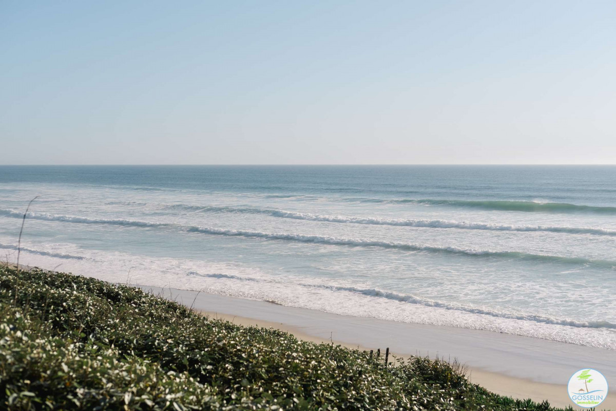 _clients_024060003_photos_112o_9583004 _clients_024060003_photos_112o_9583004