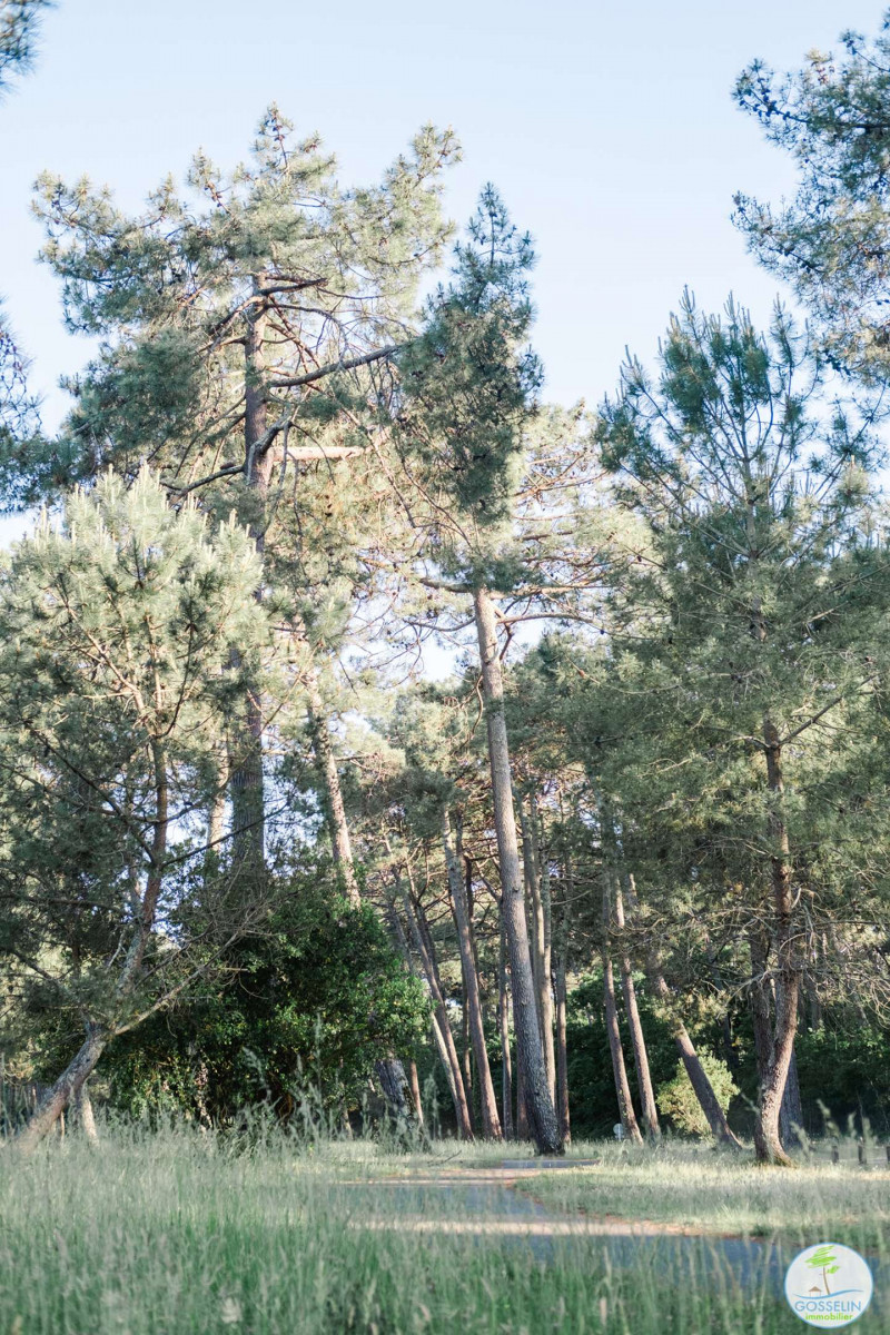 _clients_024060003_photos_112w_9747696