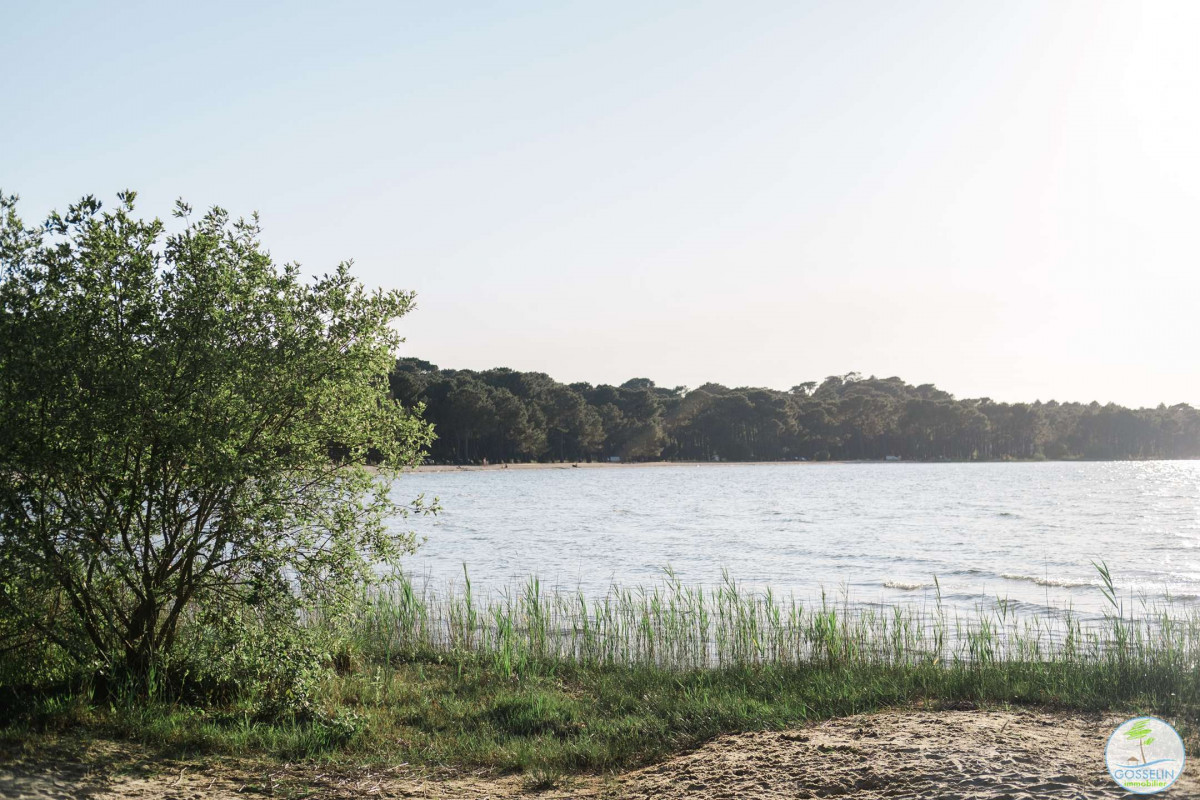 _clients_024060003_photos_112z_9544646 _clients_024060003_photos_112z_9544646