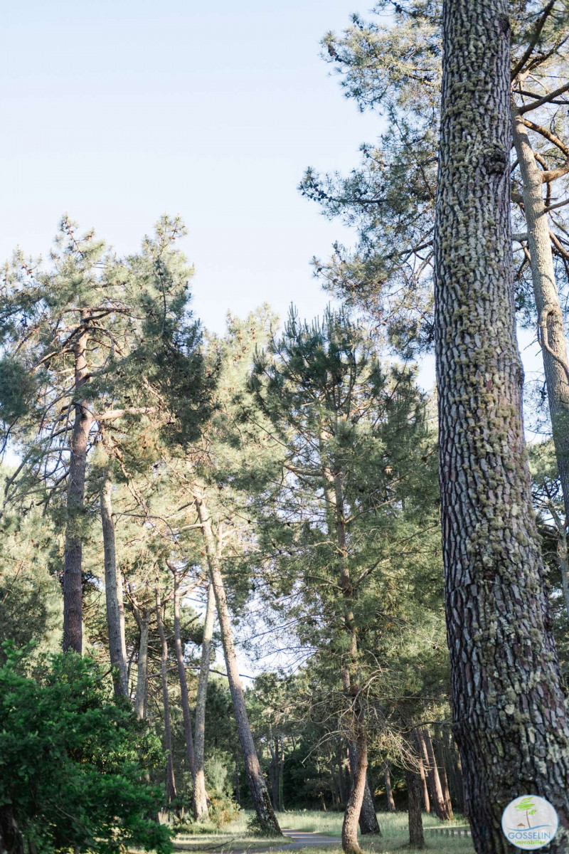 _clients_024060003_photos_118s_9858989