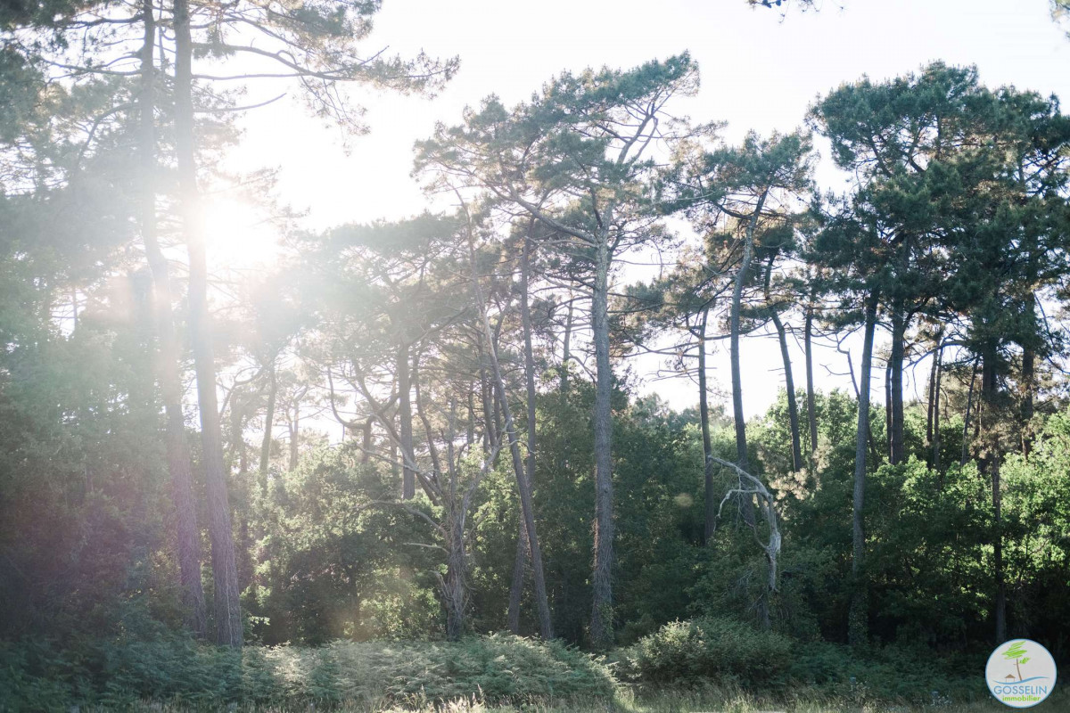 _clients_024060003_photos_118u_9858991