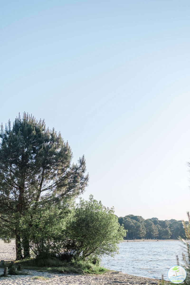 _clients_024060003_photos_118y_9858995