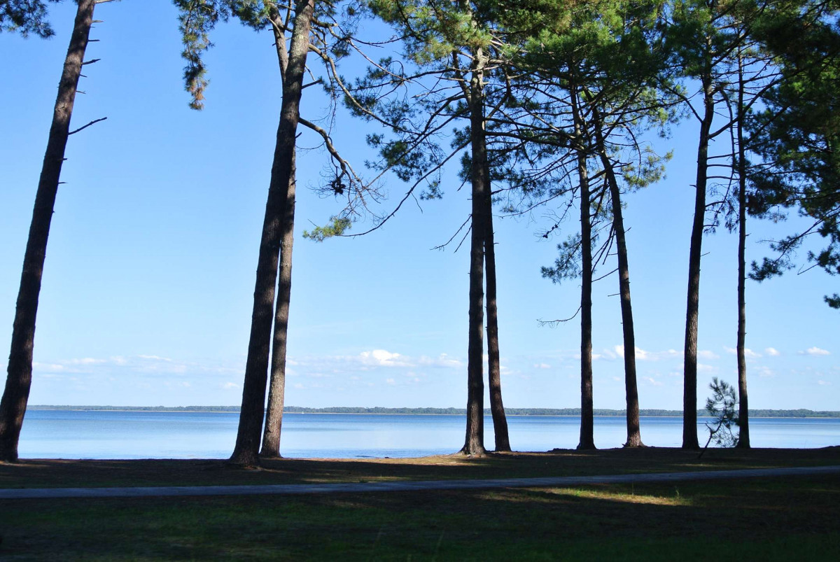 _clients_024060003_photos_122v_9859070