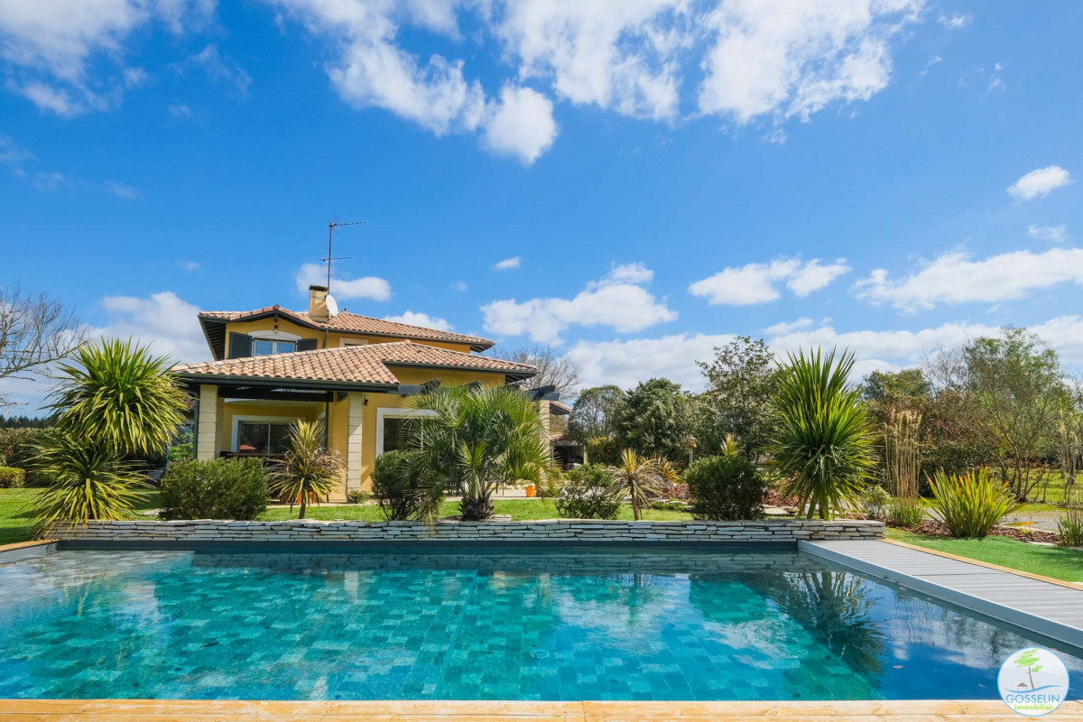 _clients_024060003_photos_133c_9541850 _clients_024060003_photos_133c_9541850