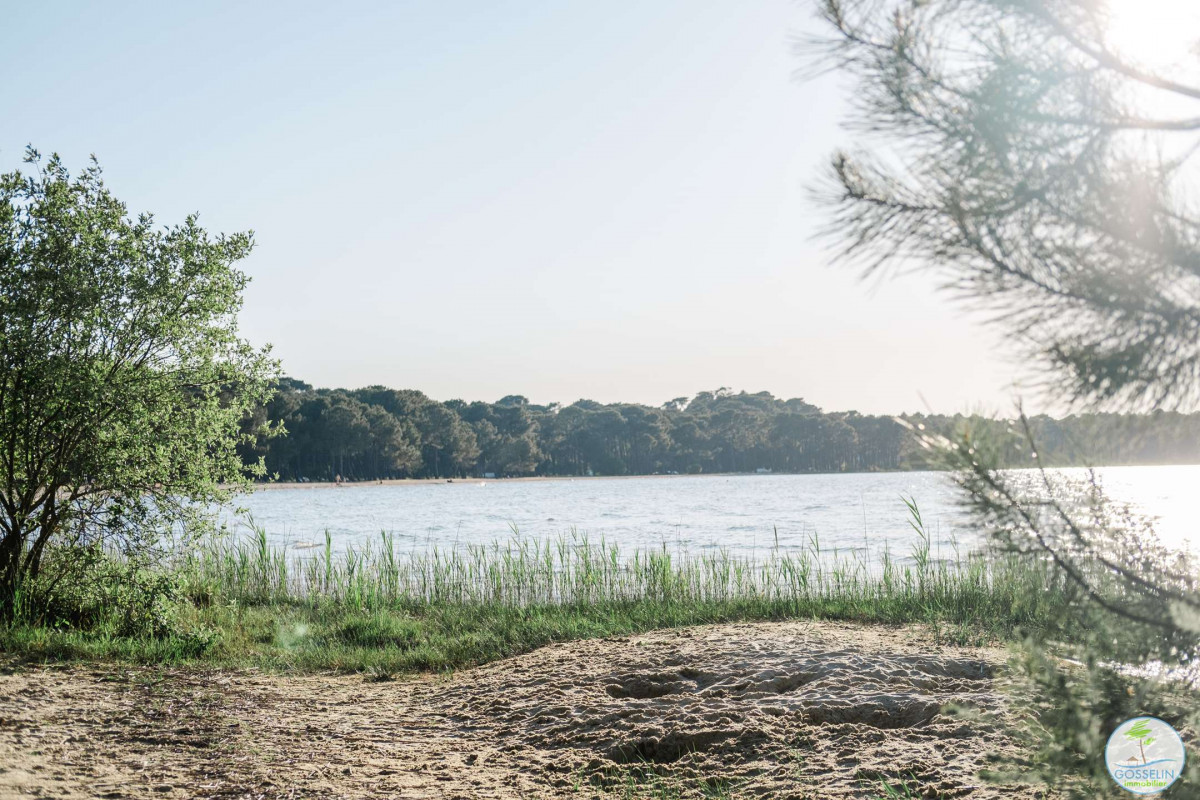 _clients_024060003_photos_136v_10015555