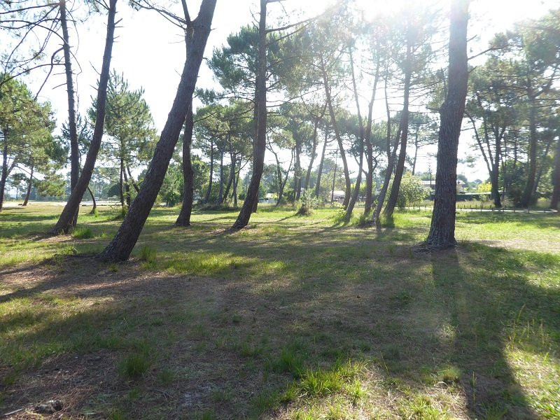 _clients_024060003_photos_143m_9687657