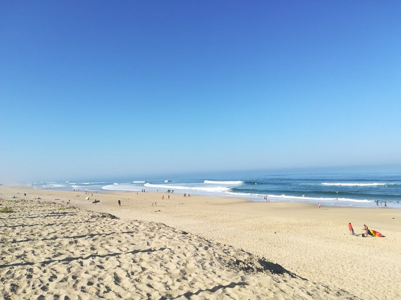 _clients_024060003_photos_14x_9859326