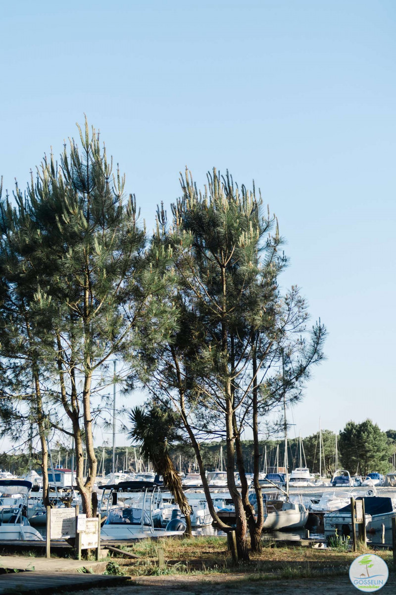 _clients_024060003_photos_15w_9859389