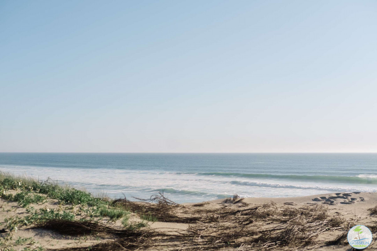 _clients_024060003_photos_192y_9860031