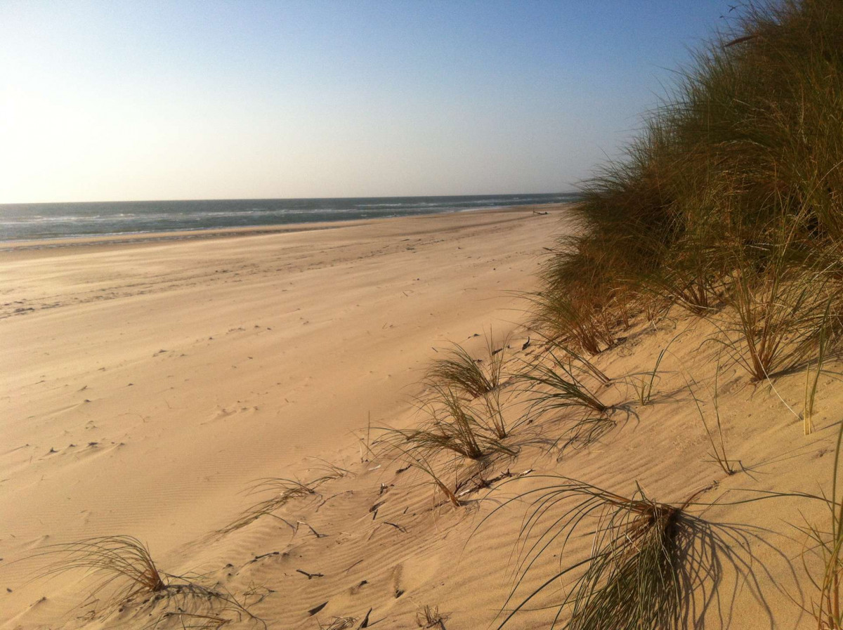 _clients_024060003_photos_19y_9493263