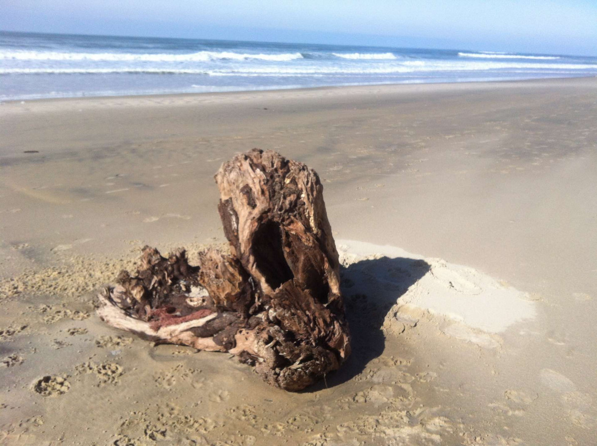 _clients_024060003_photos_21x_9493317