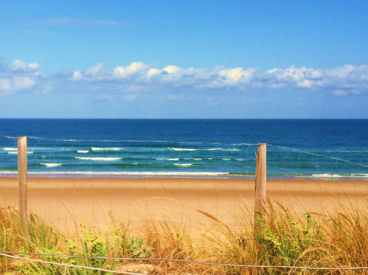 _clients_024060003_photos_31z_9853557