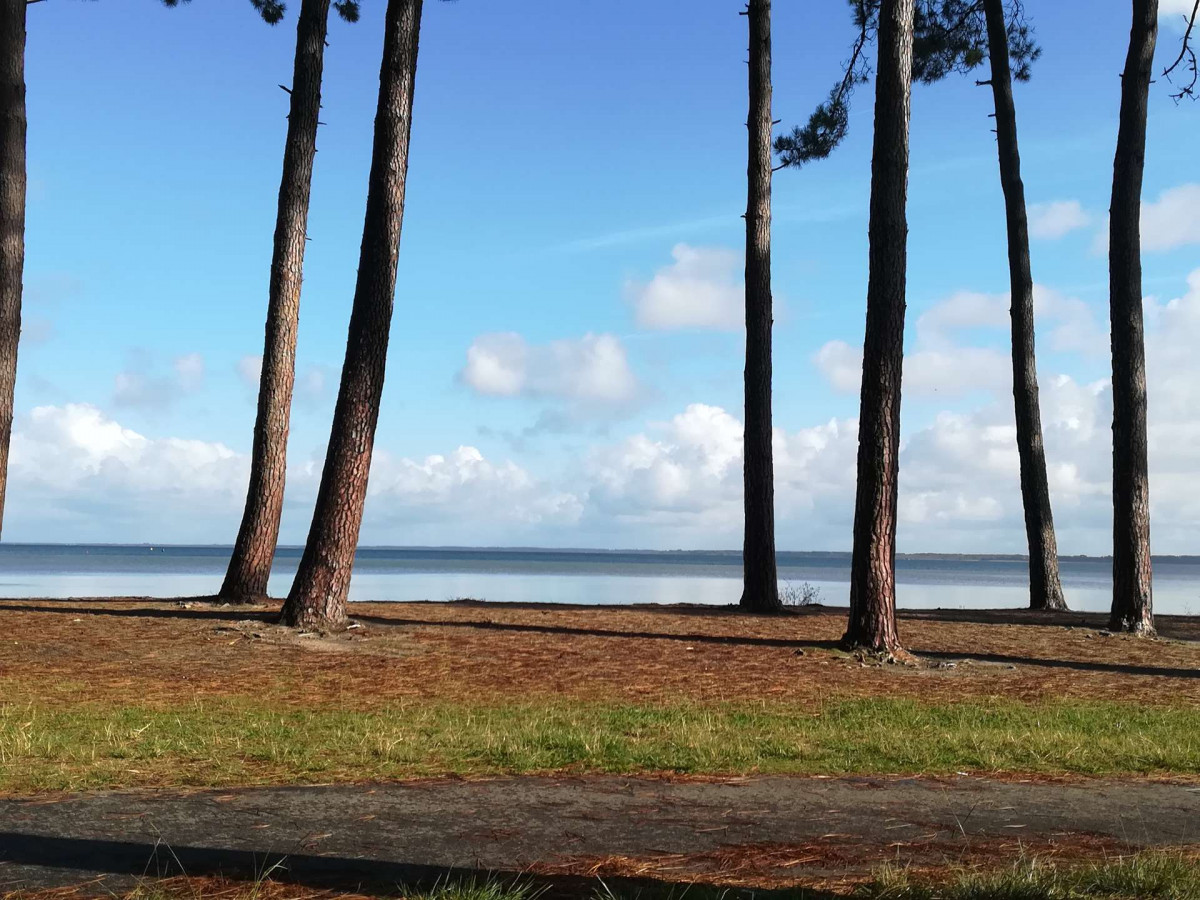 _clients_024060003_photos_45j_9860151