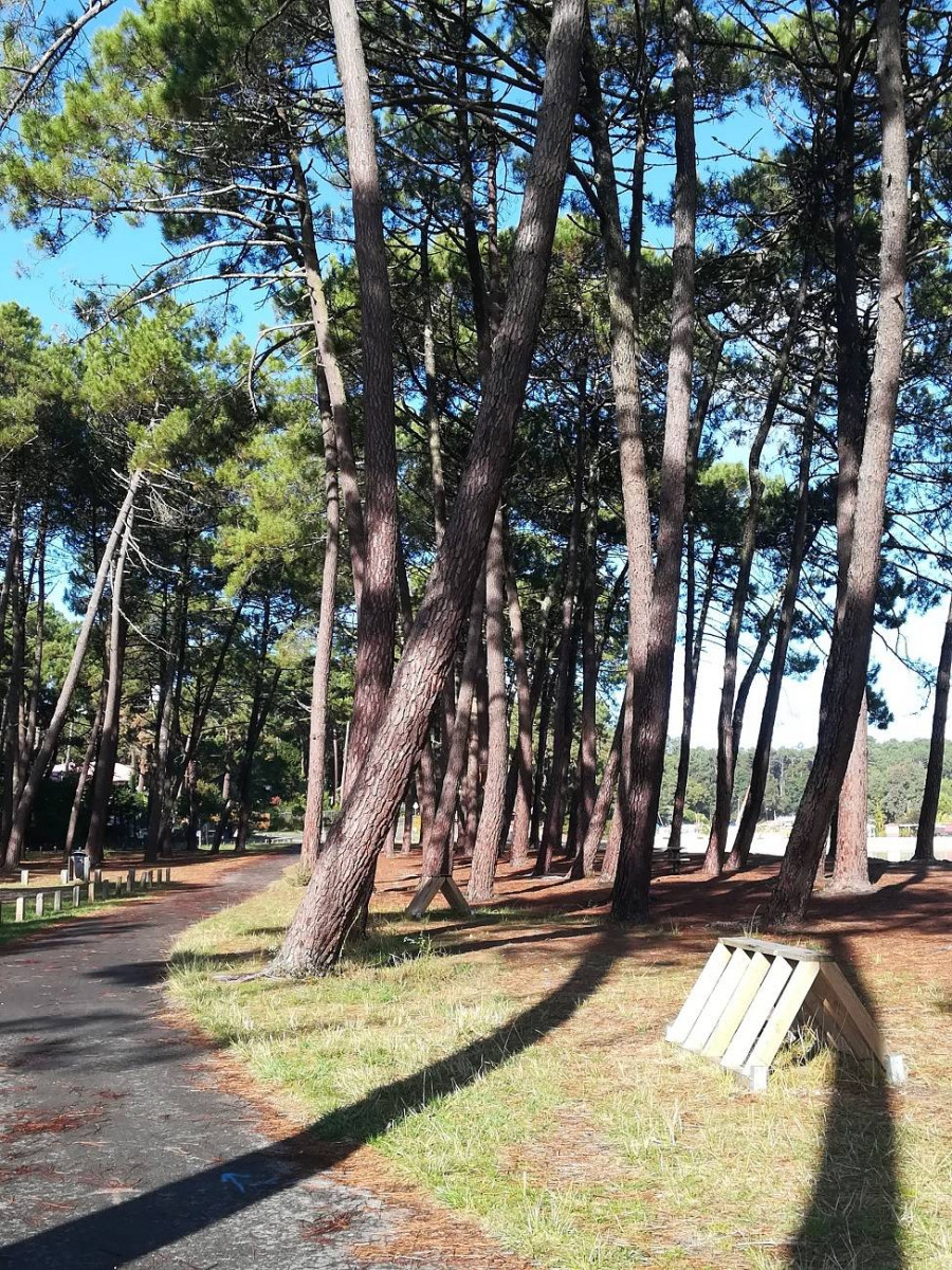 _clients_024060003_photos_45t_10016470