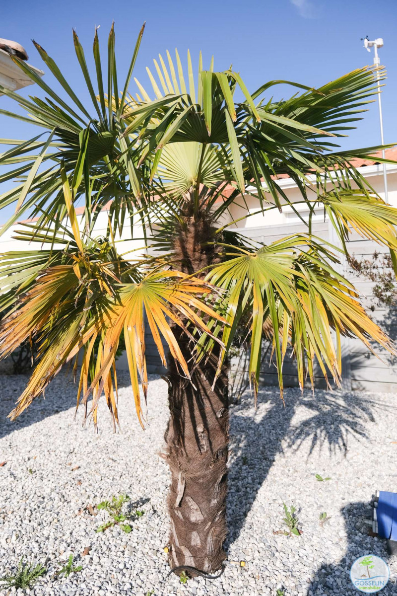 _clients_024060003_photos_77q_9821784 _clients_024060003_photos_77q_9821784