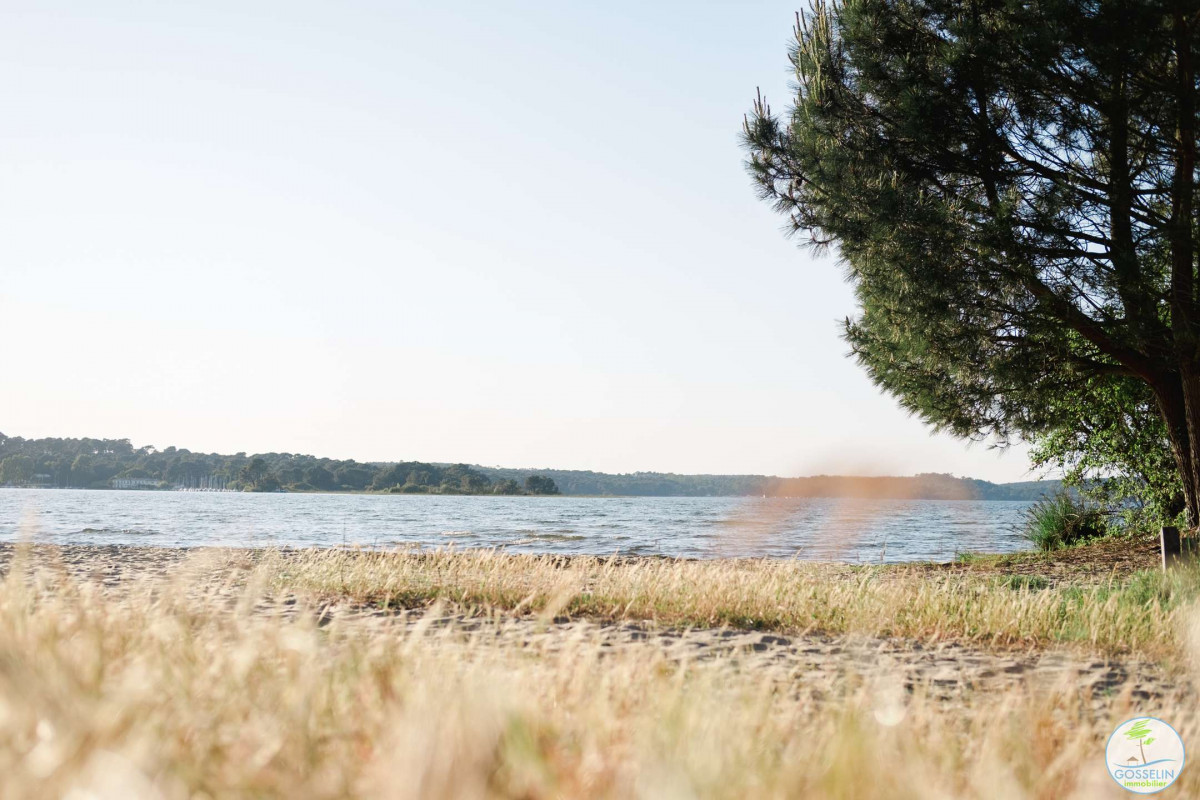 _clients_024060003_photos_77t_9821787 _clients_024060003_photos_77t_9821787