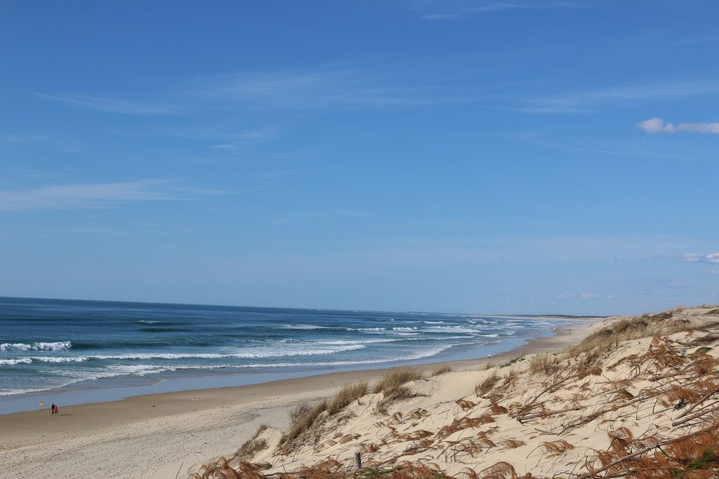 _clients_024060003_photos_88s_9853895