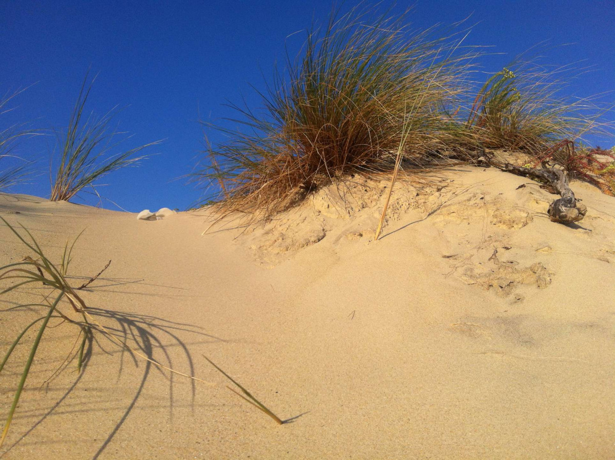 _clients_024060003_photos_88x_9853903