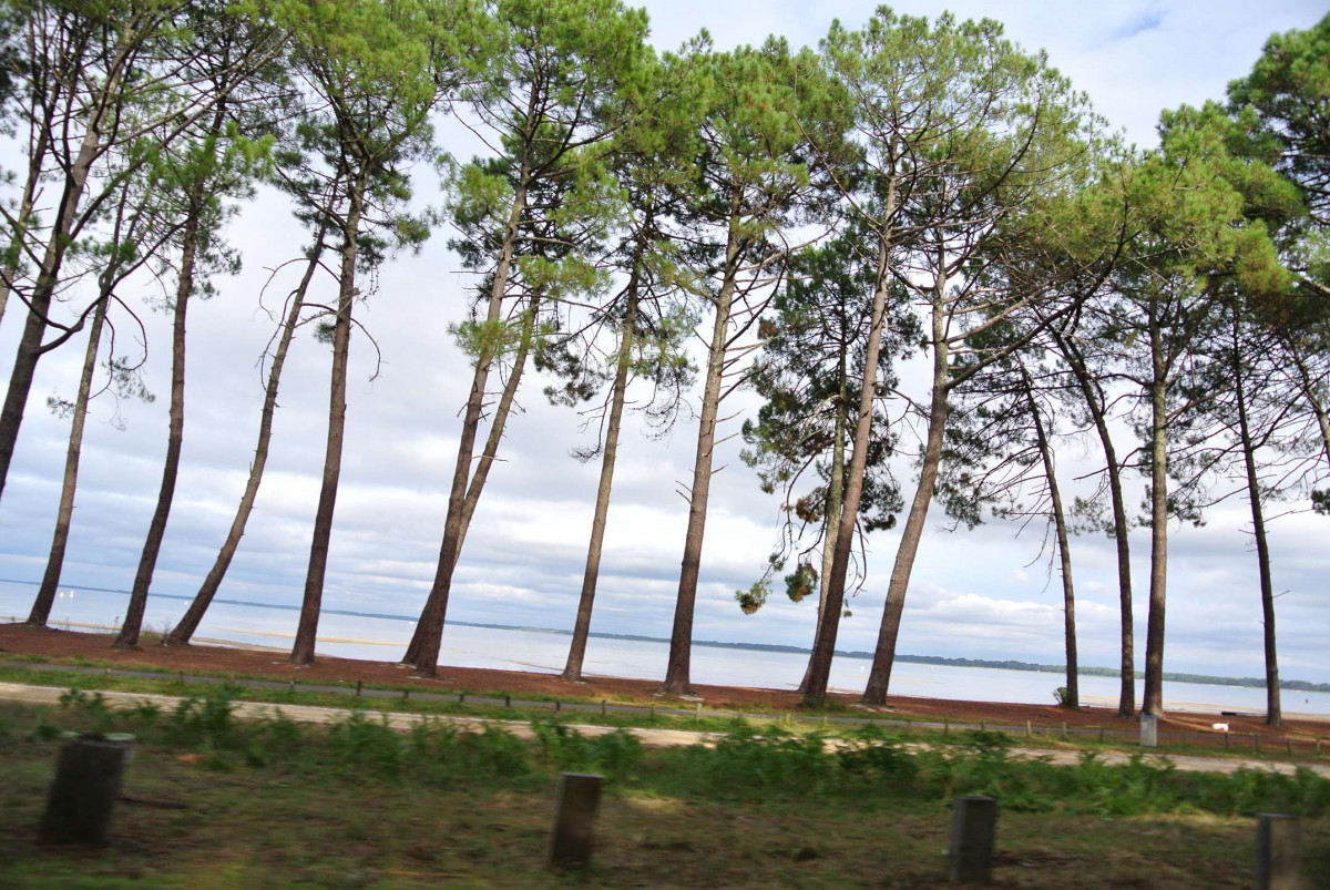 _clients_024060003_photos_96v_9493655