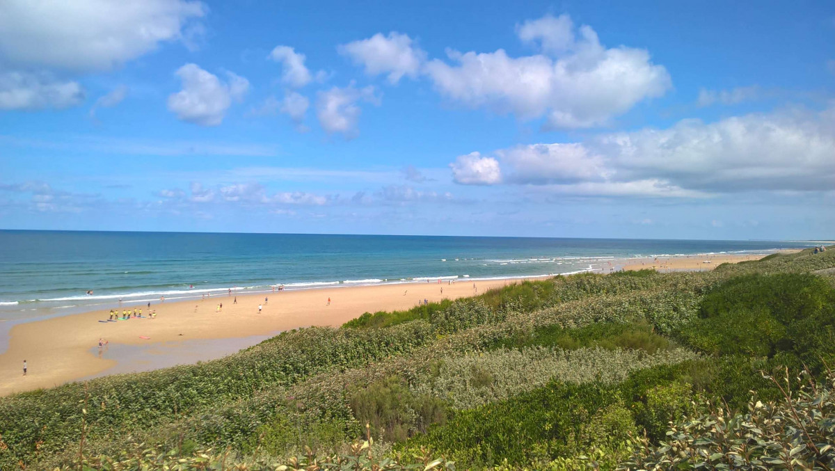 _clients_024060003_photos_96z_9493659