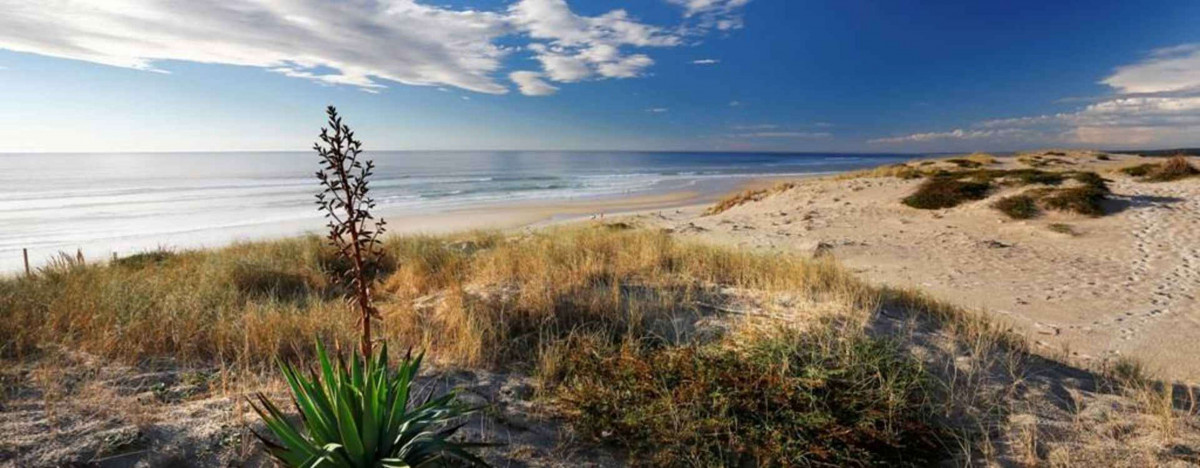 _clients_024060005_photos_1014i_9860794