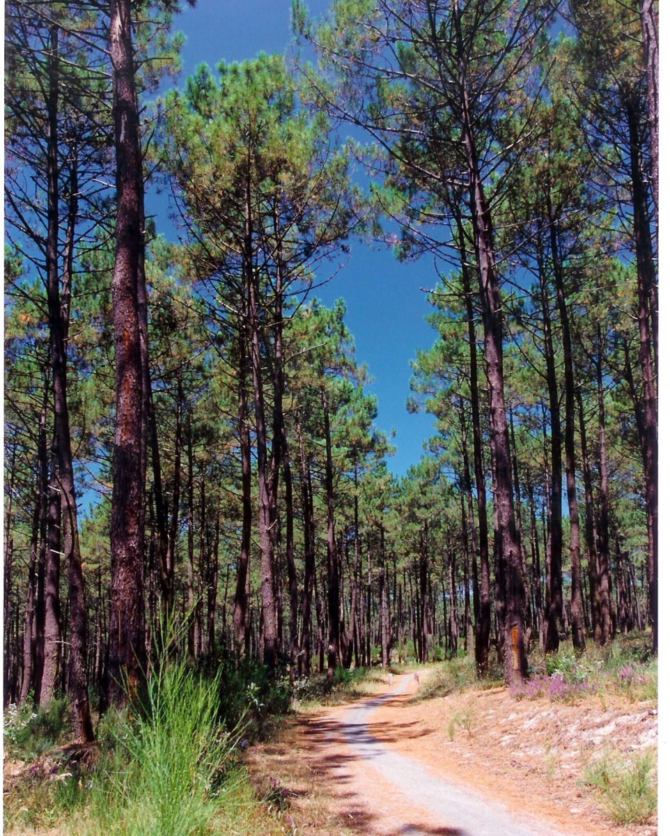 _clients_024060005_photos_1014j_9860795