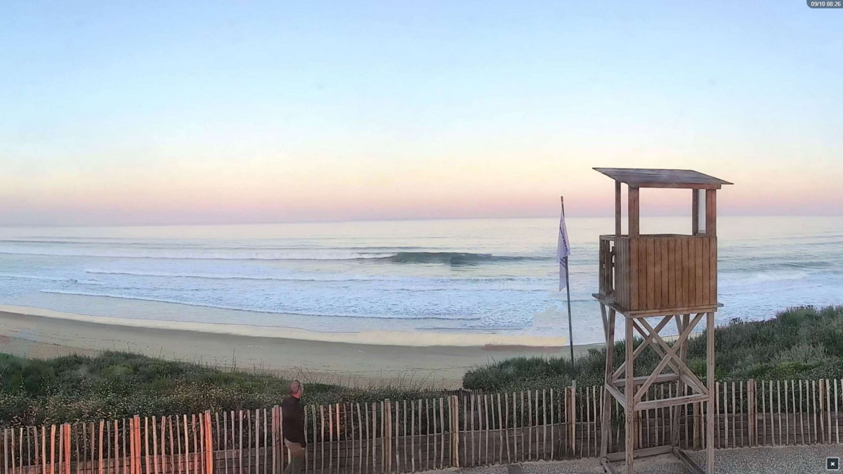 _clients_024060005_photos_1369k_9851200