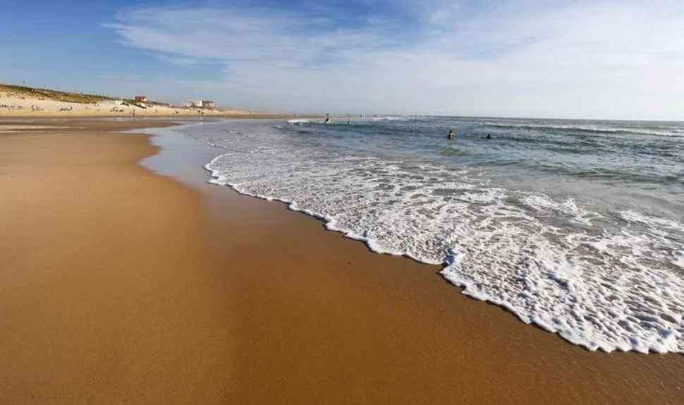 _clients_024060005_photos_1447j_9546849 _clients_024060005_photos_1447j_9546849