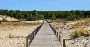 _clients_024060005_photos_1493j_10017592