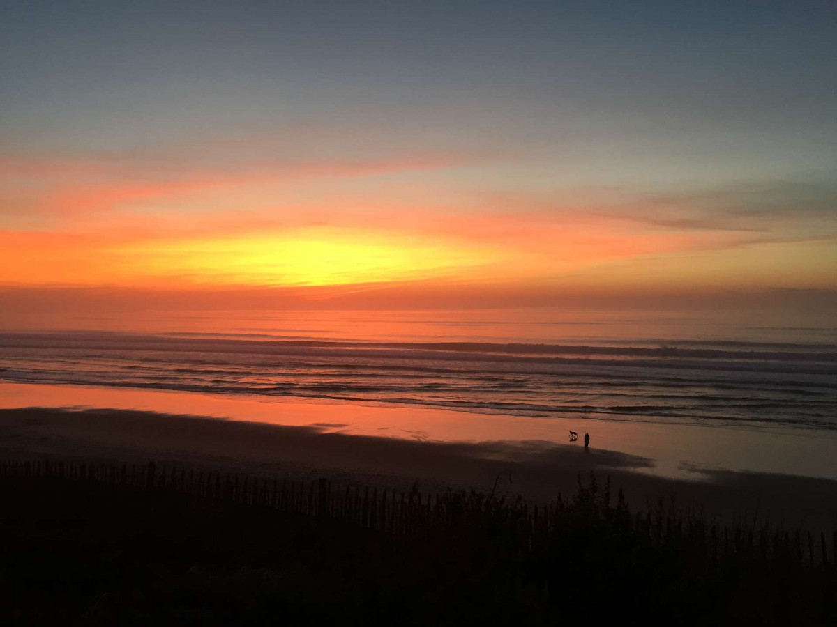 _clients_024060005_photos_1546k_9861348