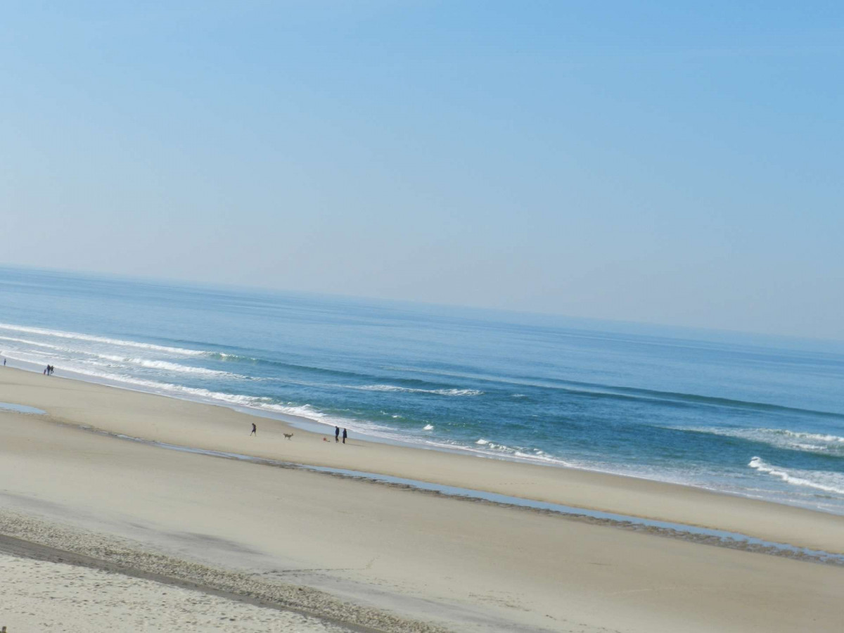 _clients_024060005_photos_1562h_10017686