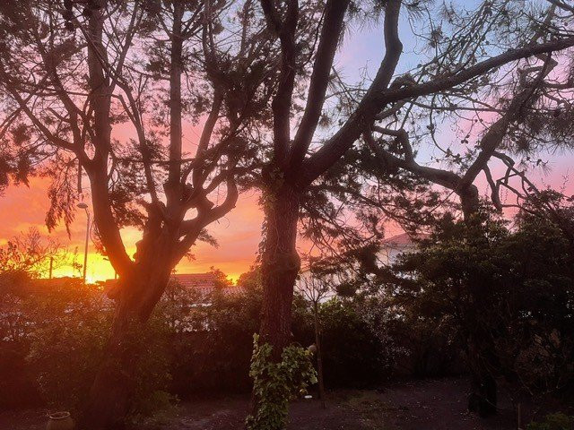 _clients_024060005_photos_1575l_9861419