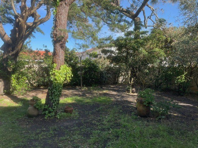 _clients_024060005_photos_1575n_9861421