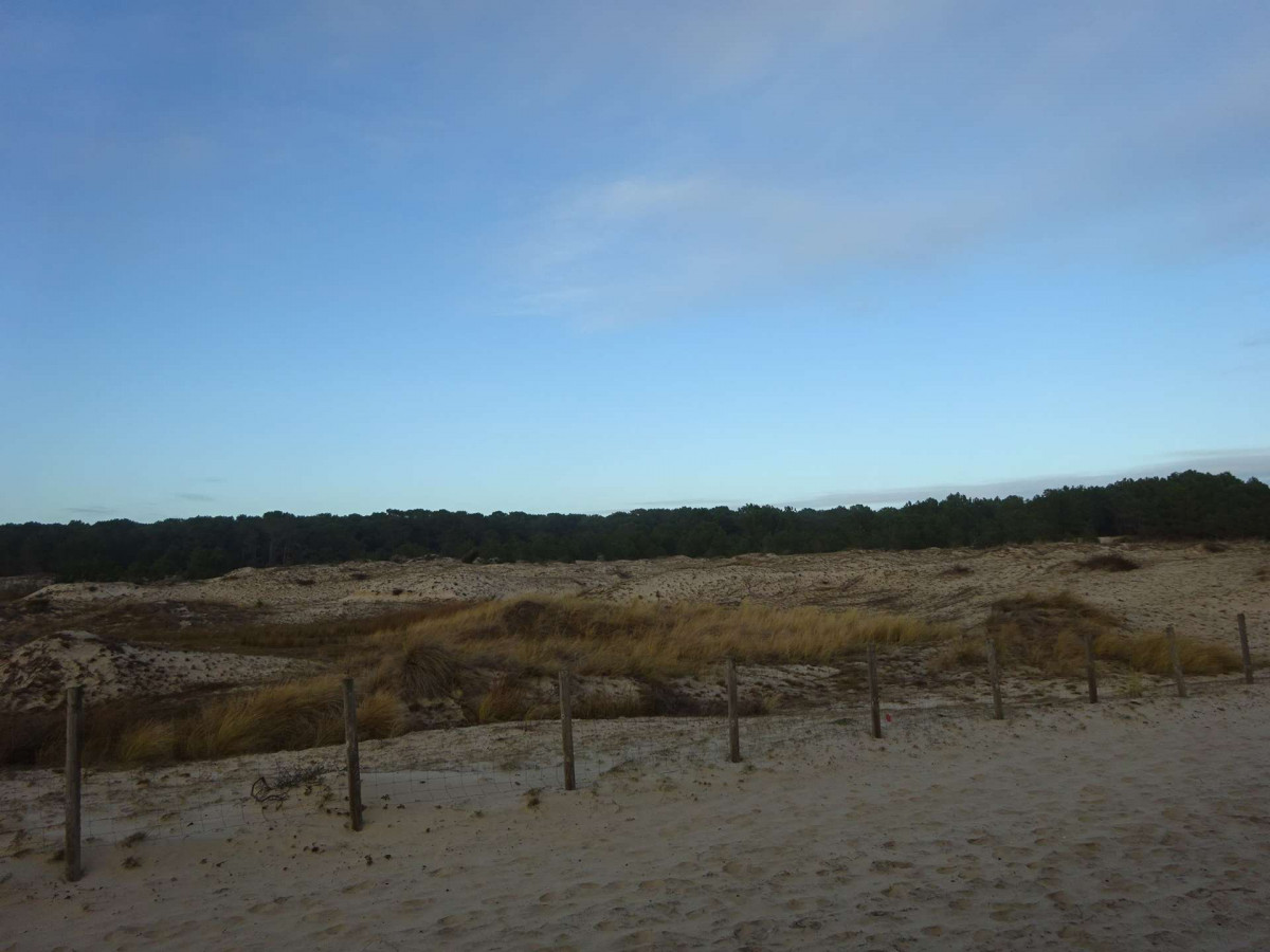 _clients_024060005_photos_705n_9861658