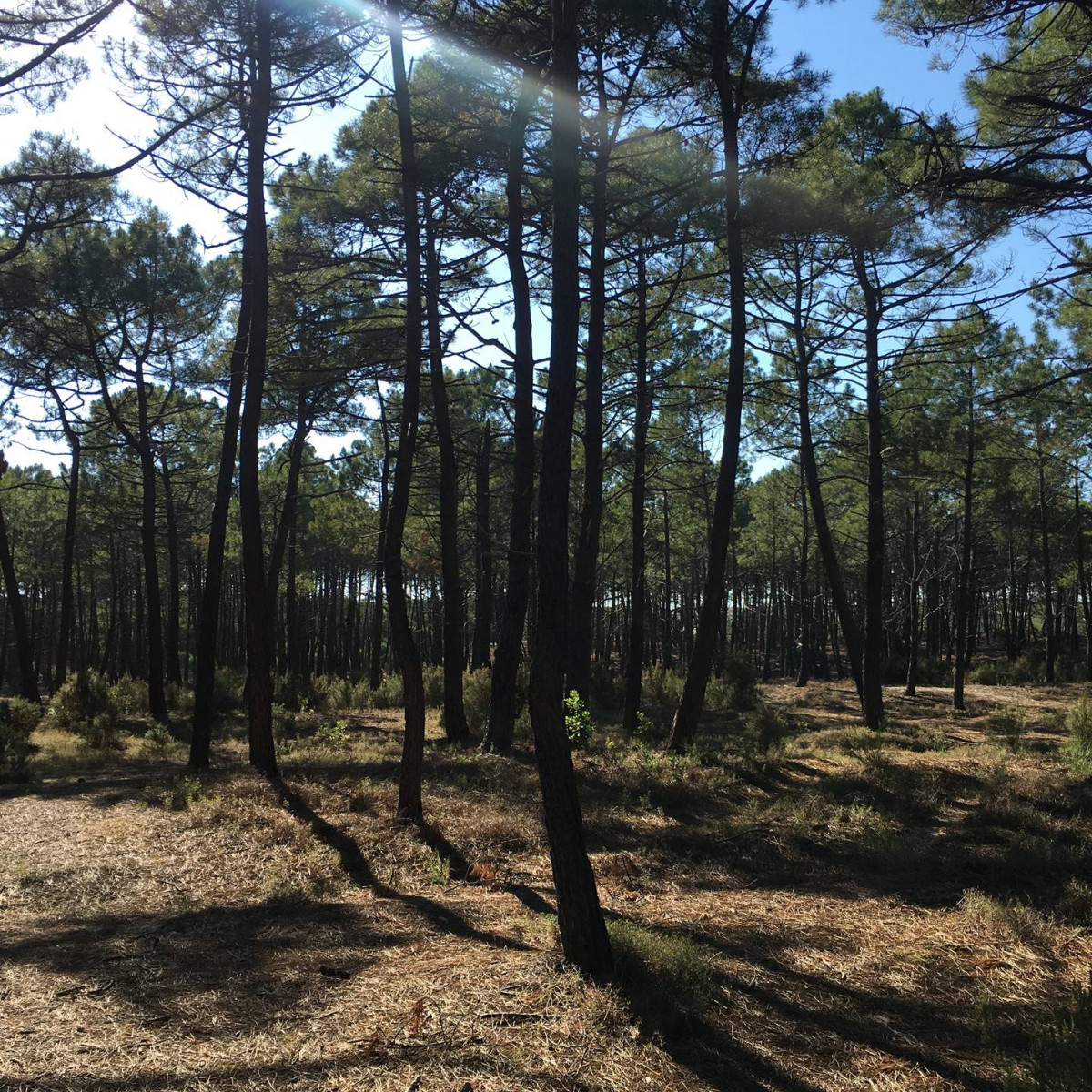 _clients_024060005_photos_713i_9689912