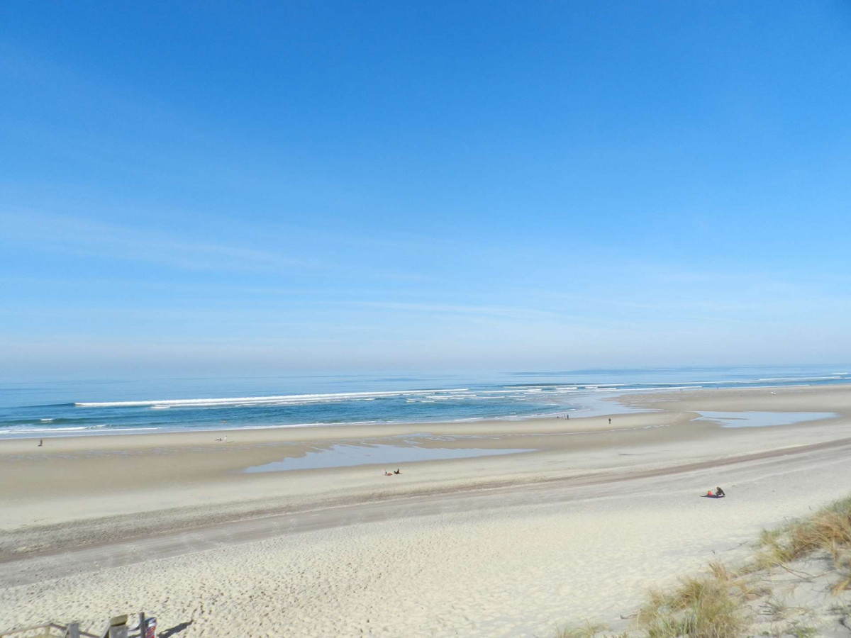 _clients_024060005_photos_883j_10018201